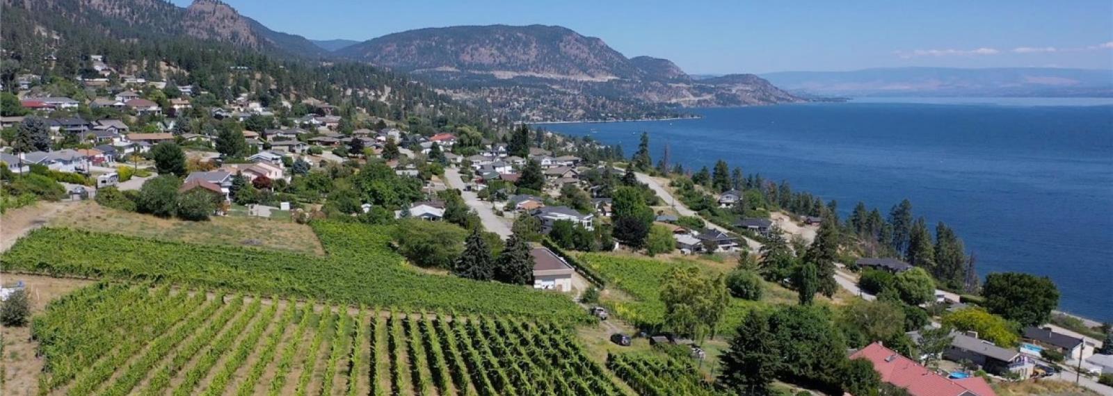 Sloping winery with lake adjacent in Peachland, BC